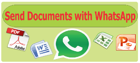 Send-Document-over-WhatsApp-document